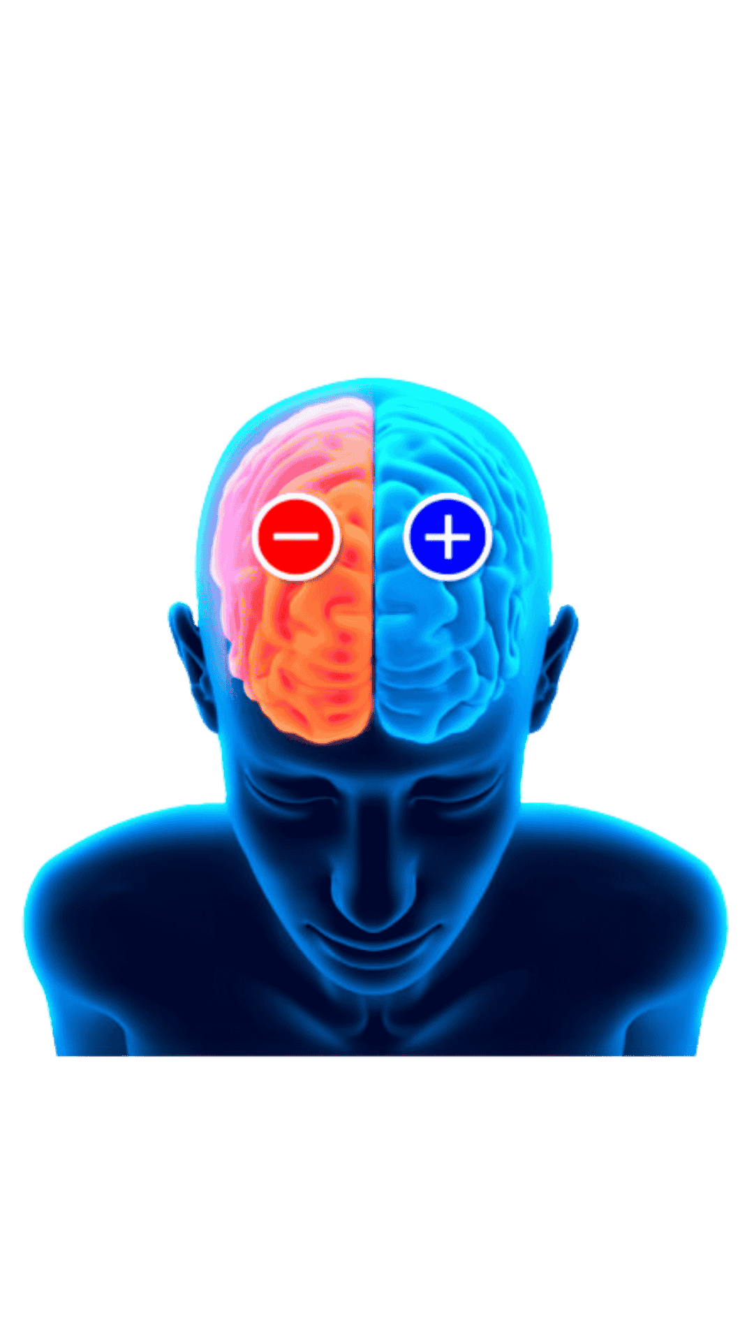 Pulse Align Charlesbourg 2 Pulse Align Charlesbourg