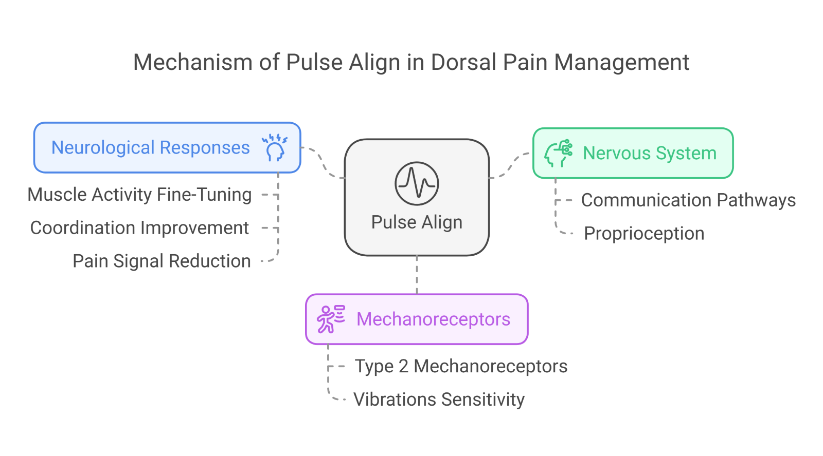 Dorsal Pain 3 Dorsal Pain