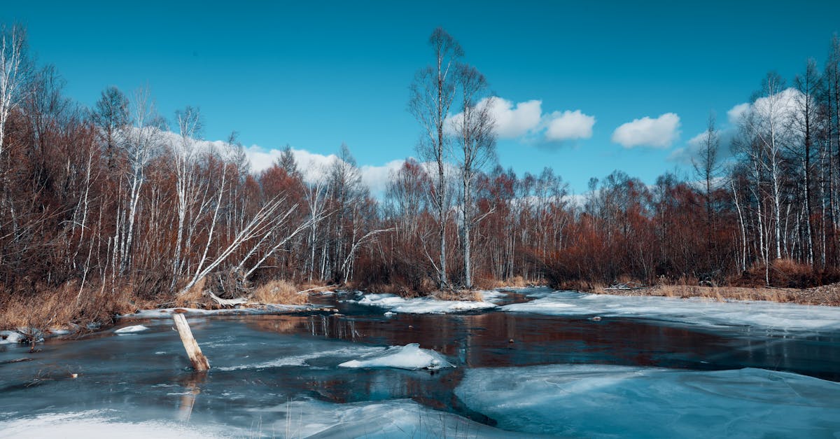 discover effective treatments and insights on frozen shoulder, a condition that causes pain and stiffness in the shoulder joint. learn about symptoms, causes, and ways to manage and recover from this common condition.