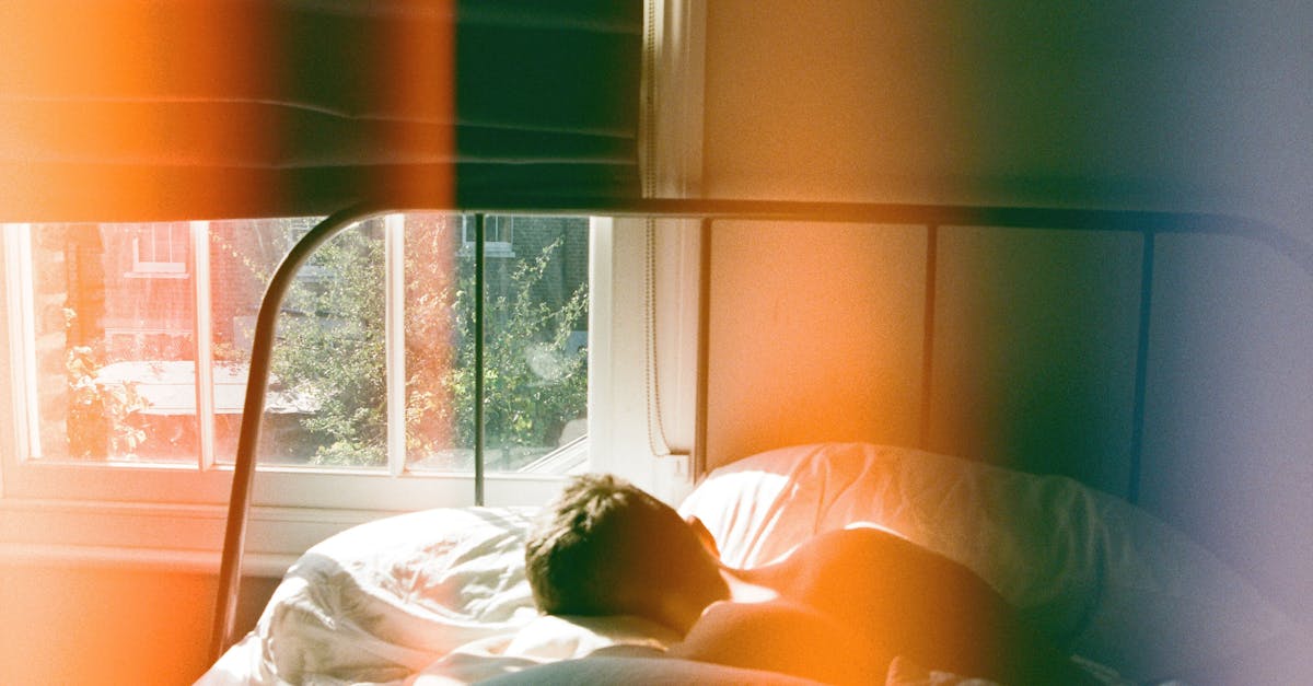 explore the diverse forms of relief, from artistic expressions to geographical features. discover how relief shapes our world and influences culture, art, and nature.