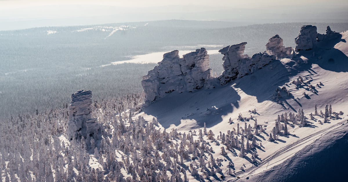 discover effective treatments and insights for frozen shoulder, a common condition characterized by pain and stiffness in the shoulder joint. learn about symptoms, causes, and recovery strategies to regain mobility and alleviate discomfort.