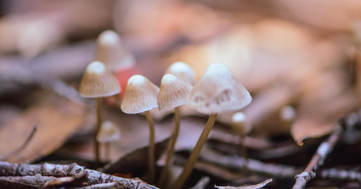 discover the causes, symptoms, and effective treatments for cluster headaches, a rare but intensely painful type of headache. learn how to manage attacks and improve your quality of life with expert insights and supportive strategies.