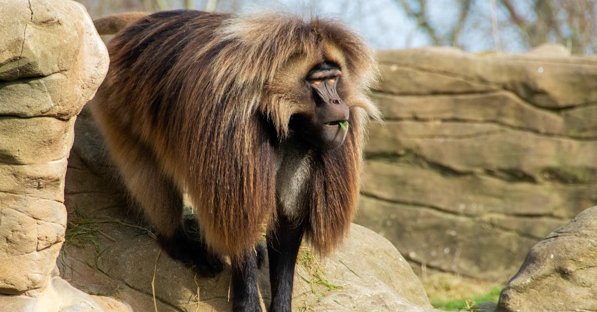 explore the significance of maintaining a healthy posture for overall well-being. discover tips, techniques, and exercises to improve your posture and enhance your daily life.