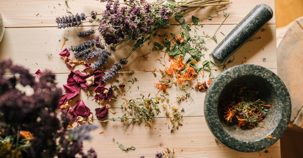 discover effective natural remedies for common ailments and enhance your well-being. explore holistic approaches that harness the power of nature to promote health and vitality.