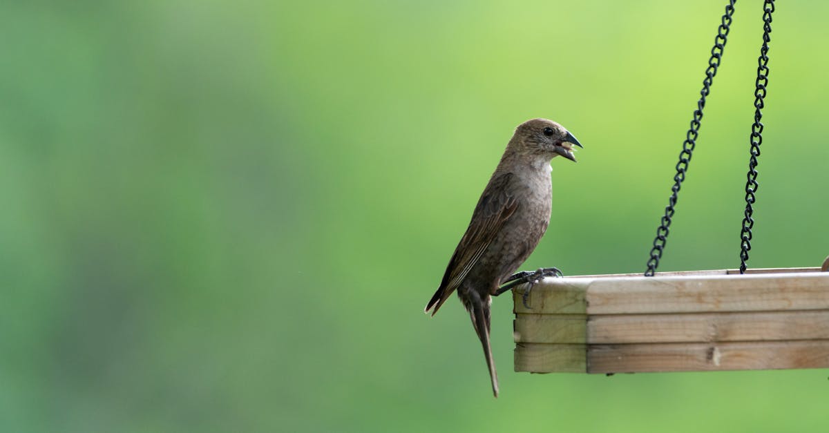 discover the importance of posture for overall health and well-being. learn how proper alignment can enhance your performance, reduce discomfort, and improve your daily life.