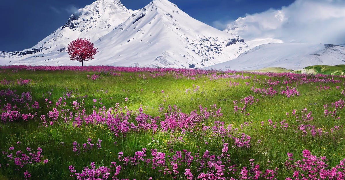 discover the art of relaxation with tips, techniques, and expert advice to reduce stress, unwind, and improve your overall wellbeing. start your journey to a more peaceful life today.