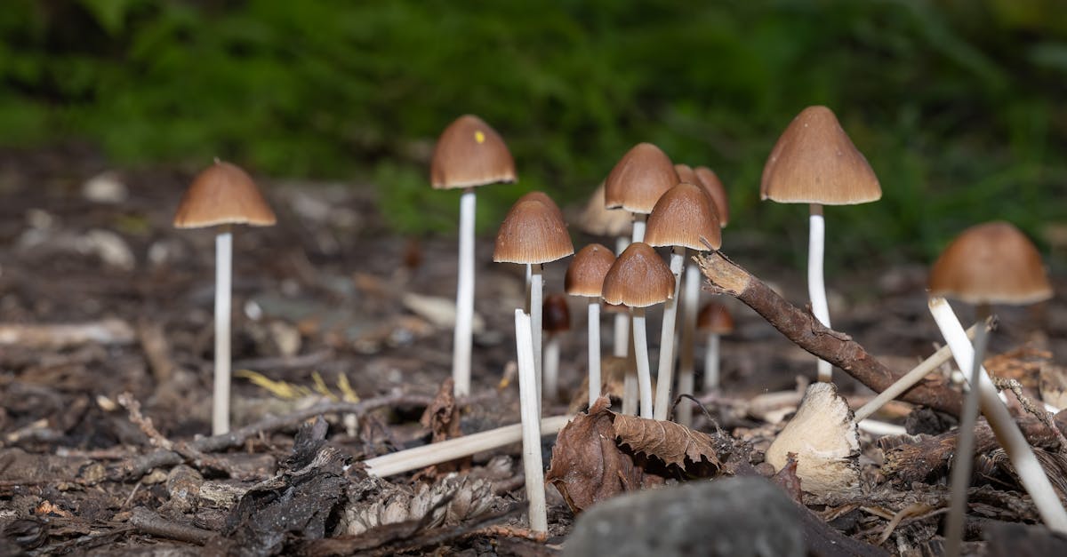 discover everything you need to know about cluster headaches, including causes, symptoms, treatment options, and tips for managing this severe type of headache.